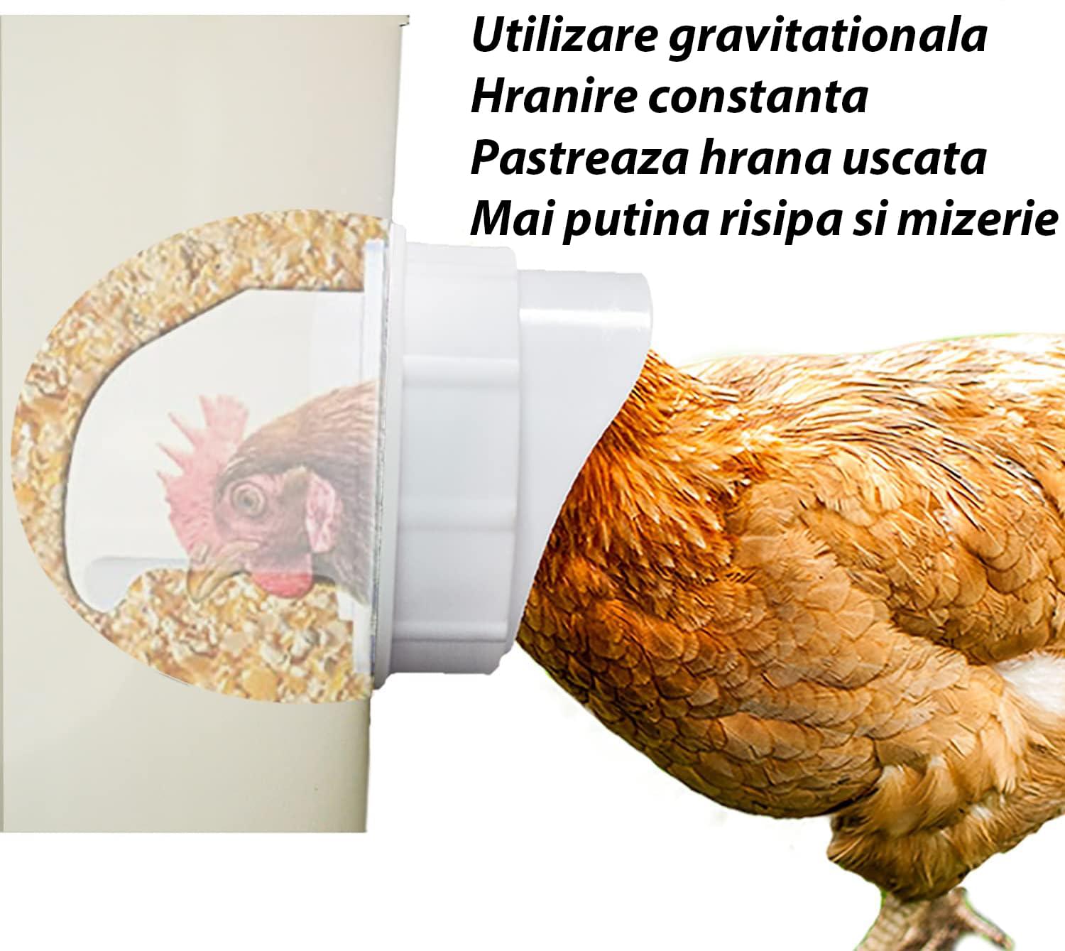 Hranitoare pentru pasari de curte - set 4 guri hranire, carota gaurire inclusa - anti-risipă, antiumezeală și protecție împotriva insectelor și rozătoarelor