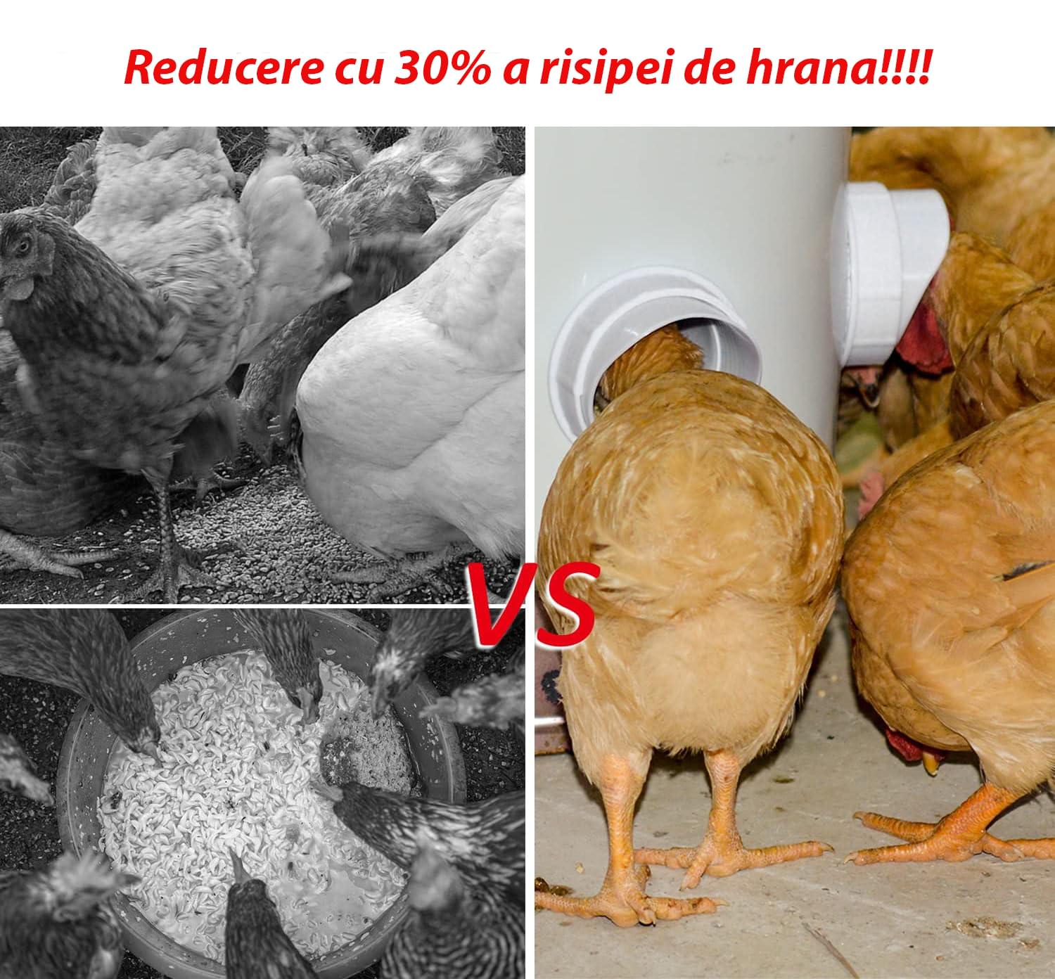Hranitoare pentru pasari de curte - set 4 guri hranire, carota gaurire inclusa - anti-risipă, antiumezeală și protecție împotriva insectelor și rozătoarelor