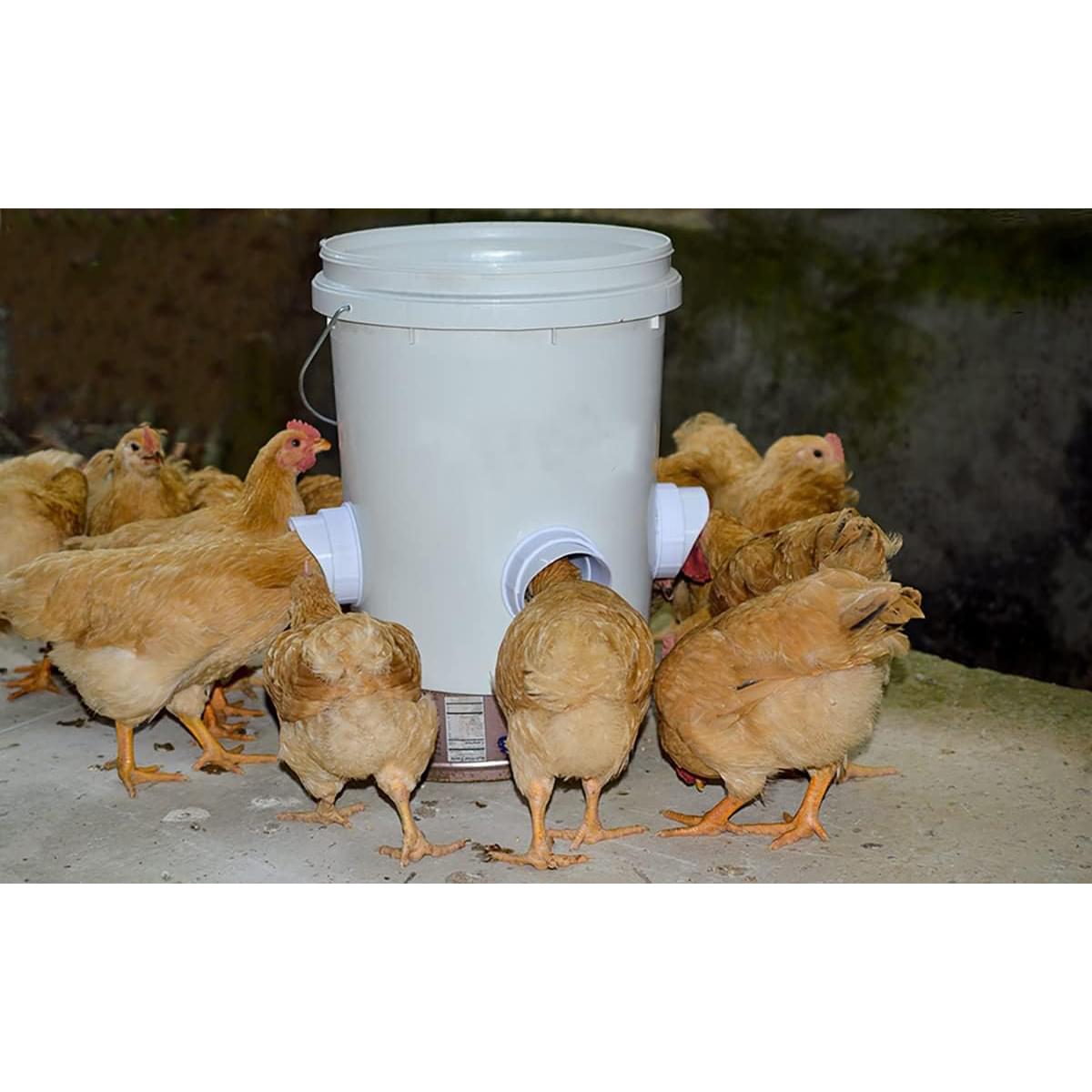 Hranitoare pentru pasari de curte - set 4 guri hranire, carota gaurire inclusa - anti-risipă, antiumezeală și protecție împotriva insectelor și rozătoarelor